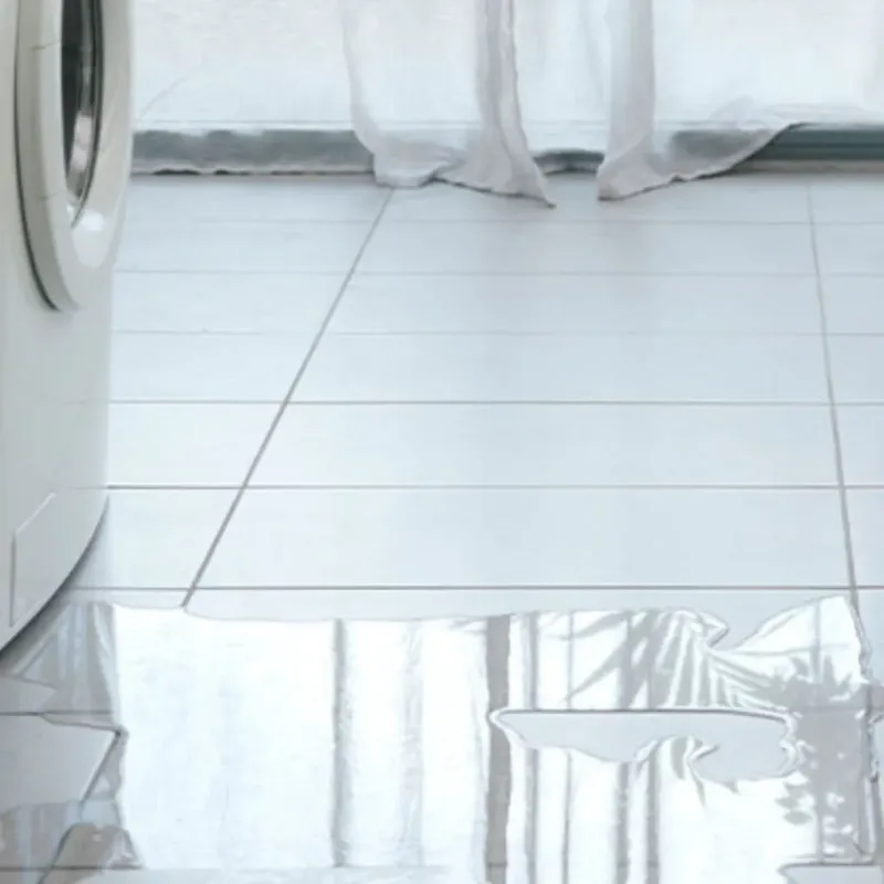 Appliance Leak Cleanup in Flagler County, FL